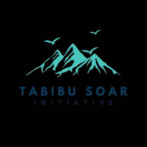 Tabibu Soar Initiative